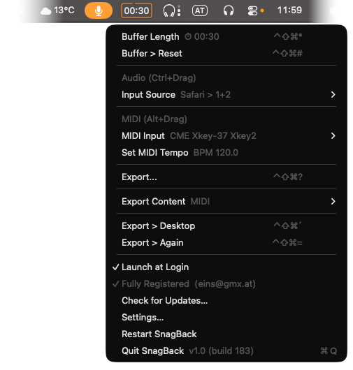 SnagBack mockup preview
